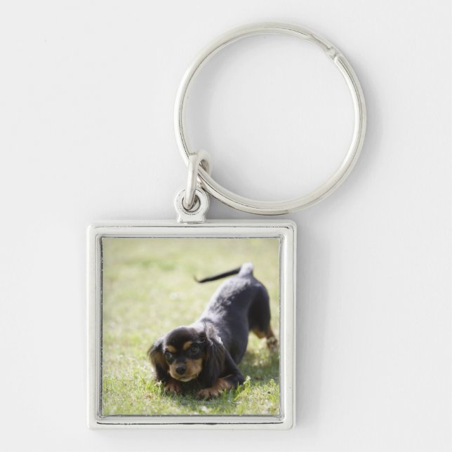 Wiener dog (black) key ring (Front)
