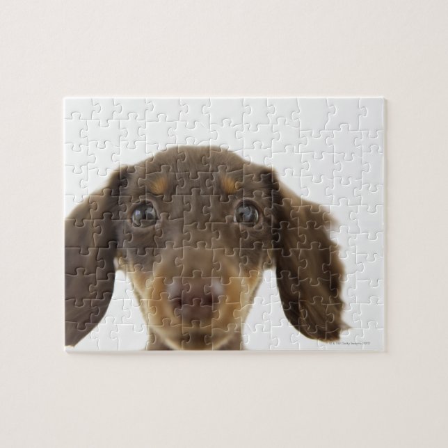 Wiener Dog (brown) 2 Jigsaw Puzzle (Horizontal)