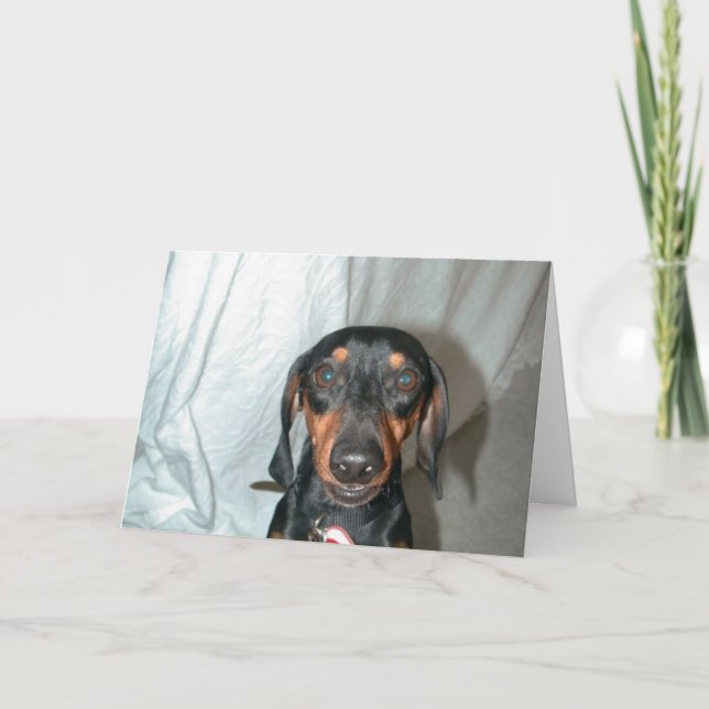 Wiener Words Card (Front)