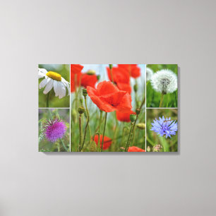 Wiesenblumen Canvas Print