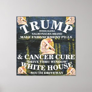 WIFEY TRAD WIFE COST AFFORD PRICE HEALTHCARE CARE CANVAS PRINT