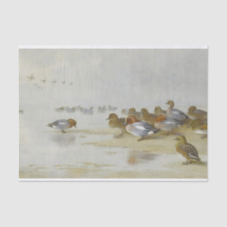 Wigeon and Teal by the water's edge, Art  Tissue Paper