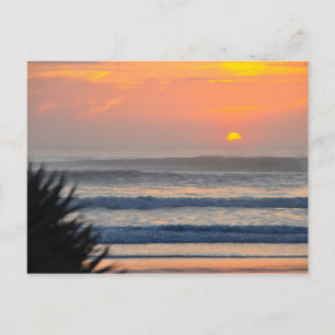 Wilbur by the Sea Palm Sunrise Florida Postcard