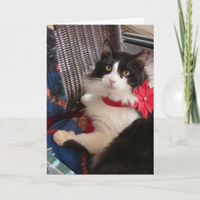 Wilbur's holiday greeting card (Front)