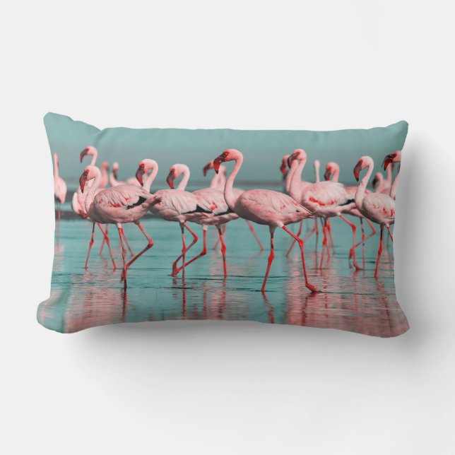 Wild African flamingos Lumbar Cushion (Front)
