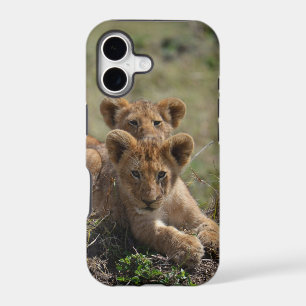 Wild African Lion Cubs iPhone 7 Plus case