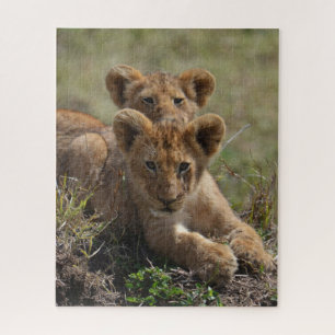 Wild African Lion Cubs Jigsaw Puzzle