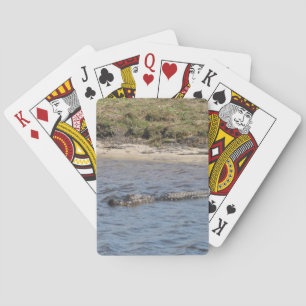 Wild Alligator at Riverbank – Florida Wildlife Playing Cards