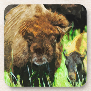 Wild American Bison With Calf Abstract Coaster