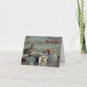 wild american wigeon duck, Thank You Note Card