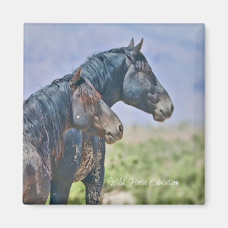 Wild and Free, Magnet