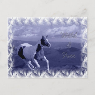 Wild and Free Postcard