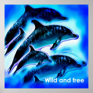Wild and free poster