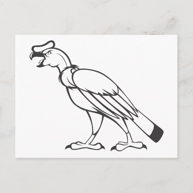 Wild Andean Condor Bird in Black and White Postcard (Front)