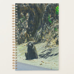 Wild Animal Baboon Animals Planner