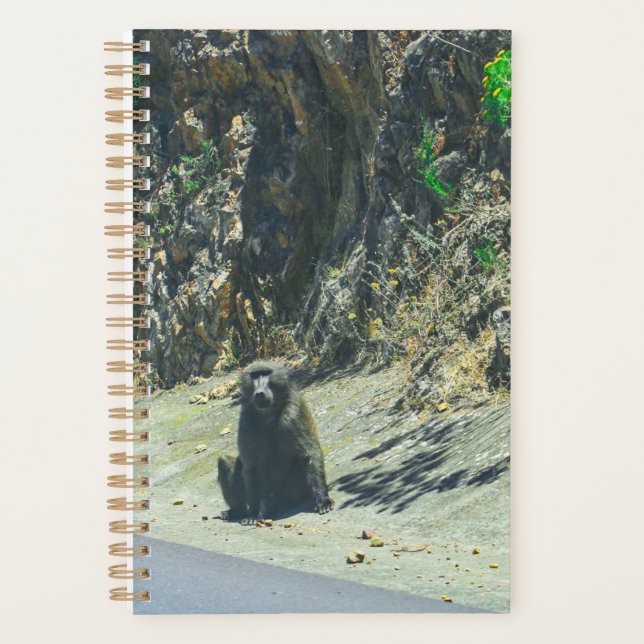 Wild Animal Baboon Animals Planner (Front)