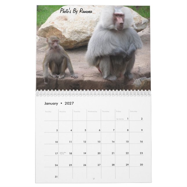 Wild Animal Calender By Ramona Taylor Calendar (Jan 2027)