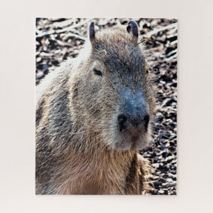 WILD ANIMAL CAPYBARA JIGSAW PUZZLE
