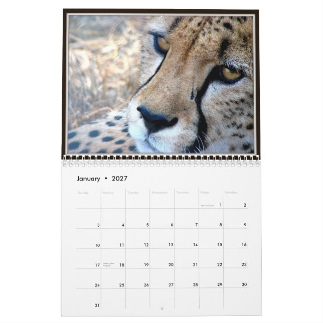 Wild Animal Faces Calendar (Jan 2027)