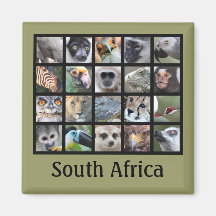 Wild Animal Faces -- Mammals, Reptiles, Birds