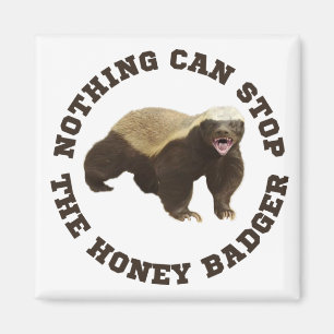 Wild Animal Honey Badger Funny Magnet