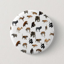 Wild Animals