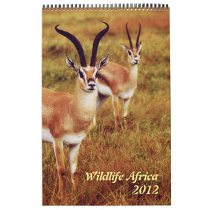 Wild animals Africa safari 2012 Calendar