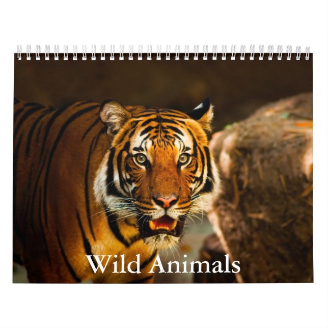Wild Animals Calendar (Cover)