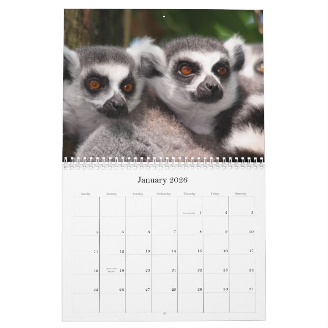 Wild Animals Calender 2012 Calendar (Jan 2026)