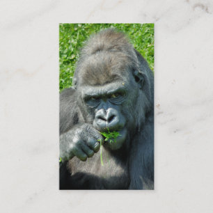 WILD ANIMALS - GORILLAS BUSINESS CARD