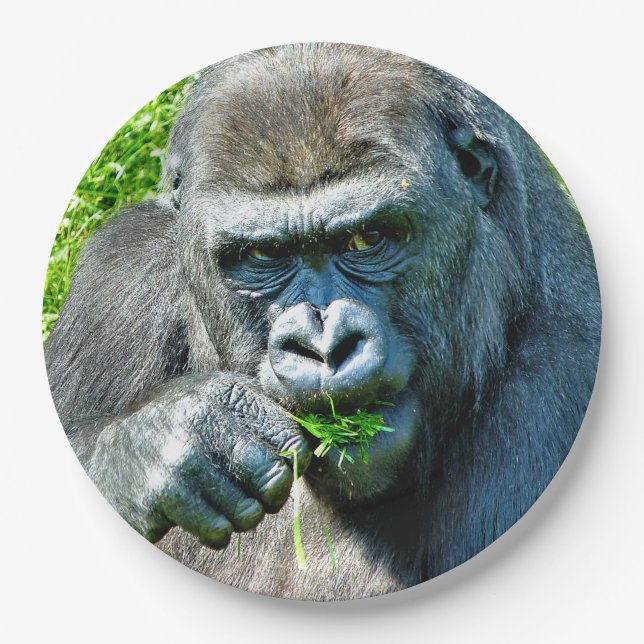 WILD ANIMALS - GORILLAS PAPER PLATE (Front)