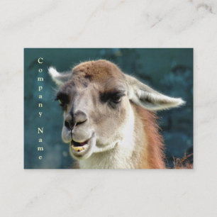 WILD ANIMALS - GUANACO BUSINESS CARD
