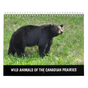 Wild Animals of the Canadian Prairies Calendar