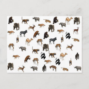 Wild Animals Postcard