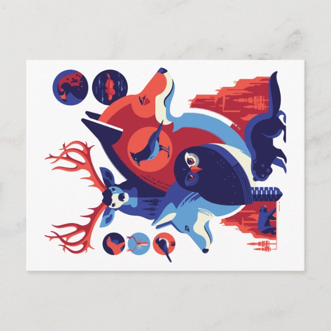 Wild Animals V.06 Postcard (Front)