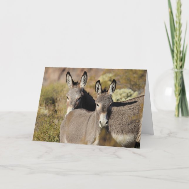 Wild Arizona Burros Card (Front)