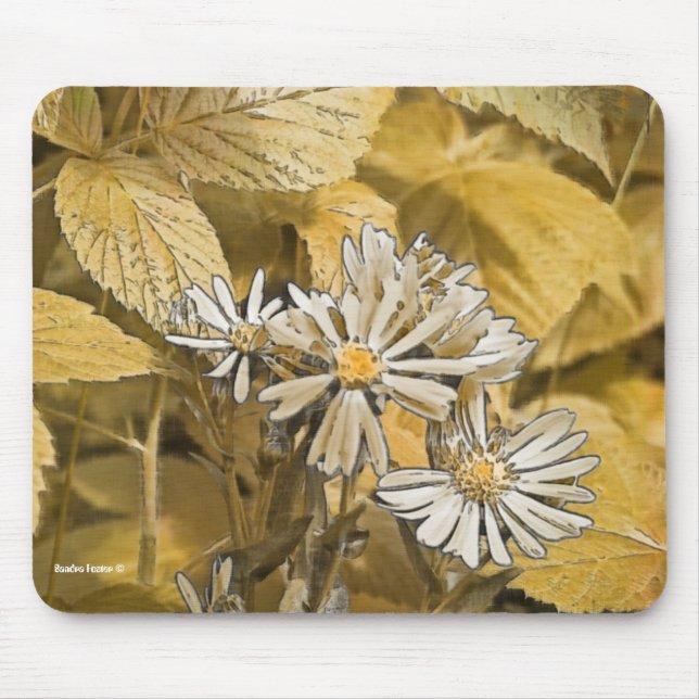 Wild Aster Mouse Pad (Front)
