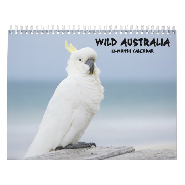 "Wild Australia" Australian Wildlife Calendar (Cover)