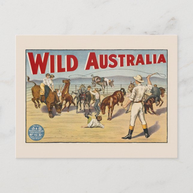 Wild Australia Vintage Poster 1910 Postcard (Front)