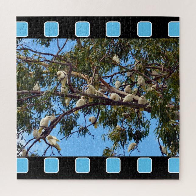 Wild Australian Cockatoos In Gum Trees, Jigsaw Puzzle (Vertical)