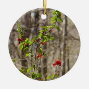 Wild Azalea Bush at Smoky Mountains Ceramic Tree Decoration