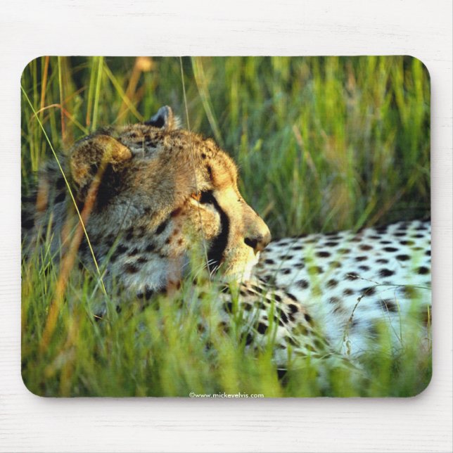 Wild Beautiful Animals 112 Mouse Pad (Front)