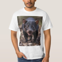 Wild Beginnings: The Young Tasmanian Devil