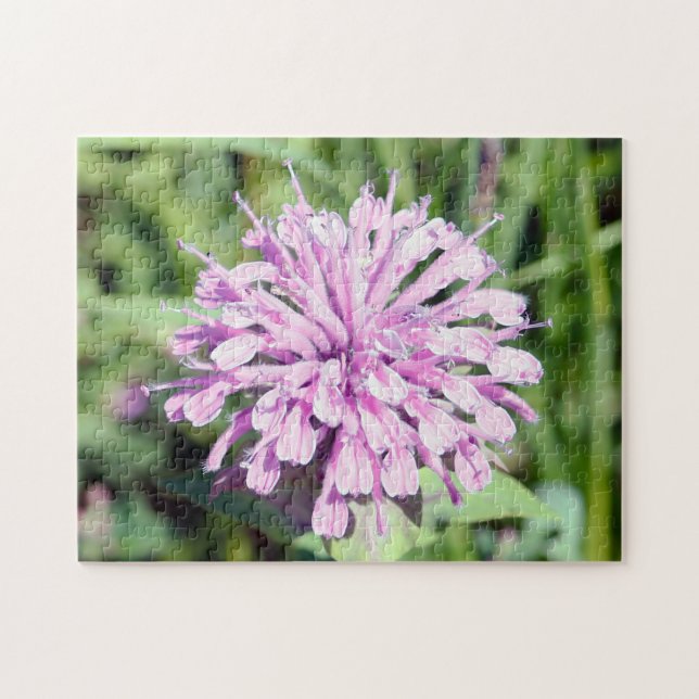 Wild Beramot - (Pink Bee Balm) Jigsaw Puzzle (Horizontal)