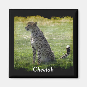Wild Big Cats Animal-lover Design Magnet