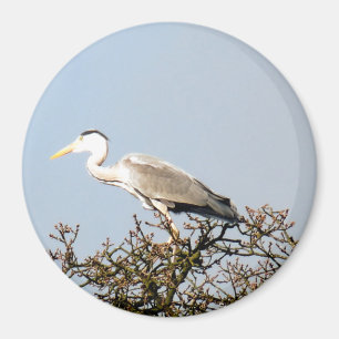 WILD BIRD HERON    MAGNET