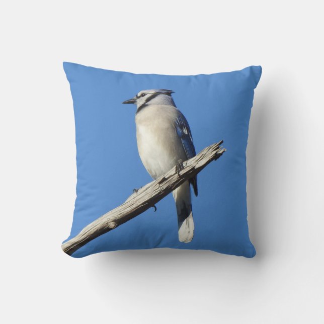Wild bird pillow, blue jay, nature cushion (Front)