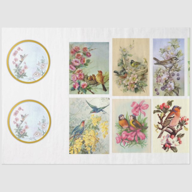 Wild Bird Series Design 2 Tissue Paper (Front)