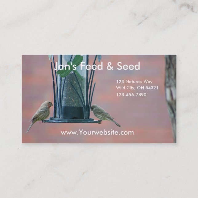 Wild Birds Business Card (Front)