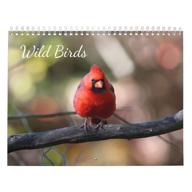 Wild Birds Calendar (Cover)